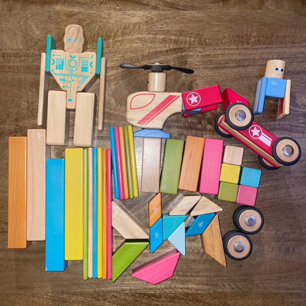 TEGU magnetic wooden blocks